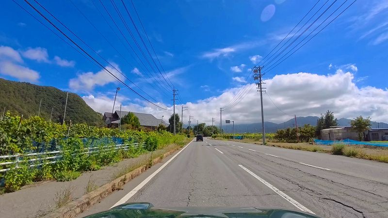 北信濃くだもの街道
